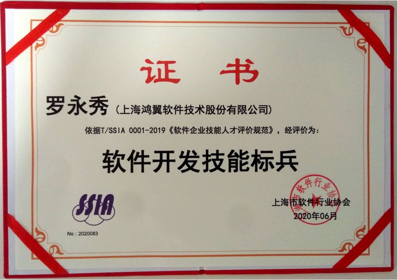 系统集成:构建企业信息化的坚实基石